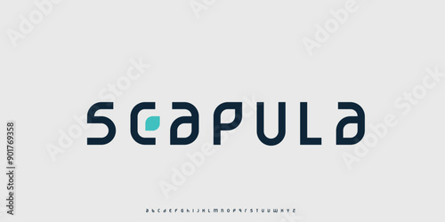 Vector elegant alphabet letters font classic modern serif lettering minimal fashion
