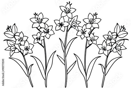 Delphinium flower line art illustration