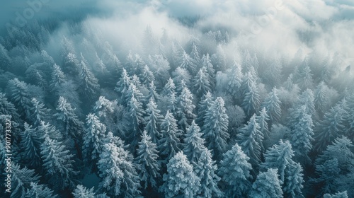 Aerial View of Snow-Covered Pine Trees Surrounded by Misty Clouds in Winter. Generative AI