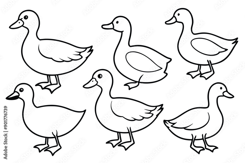Fototapeta premium Duck line art illustration Design Concepts