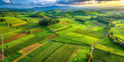 Aerial View of Lush Green Agricultural Fields and Crops