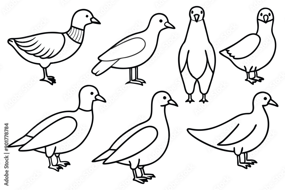 Fototapeta premium Elegant bird line art illustration