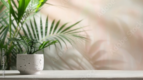 White Stone Platform With Green Plant Background
