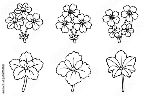 Geranium line art illustration Design Concepts