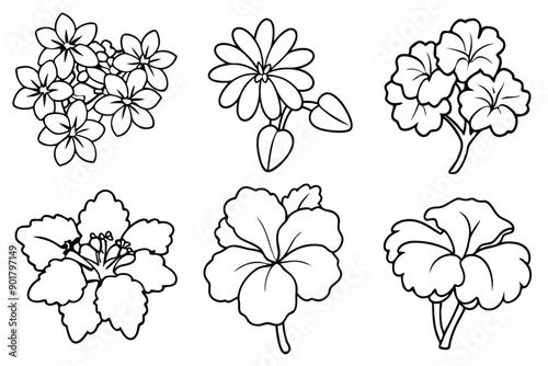 Geranium line art illustration Design Concepts