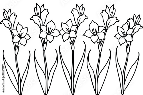 Gladiolus line art illustration Design Concepts