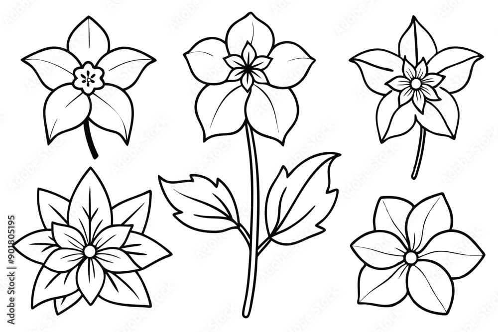 Hellebore line art illustration Design Concepts Hellebore line art illustration Design Concepts