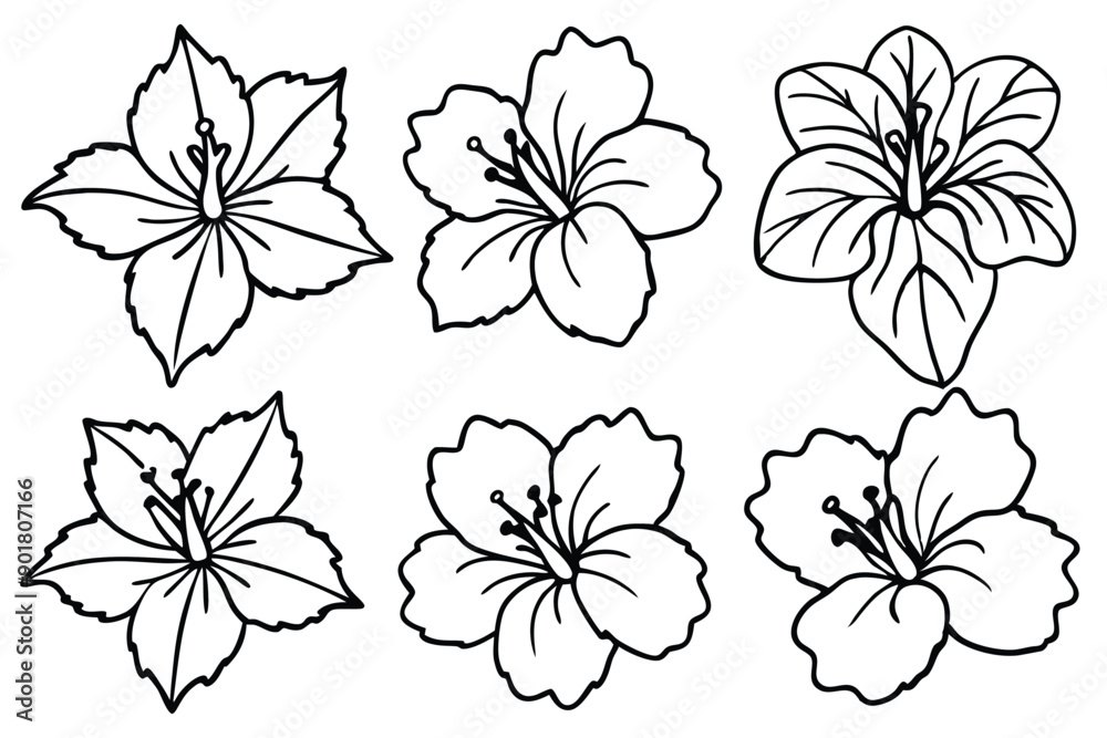 Hibiscus line art illustration Design Concepts Hibiscus line art illustration Design Concepts