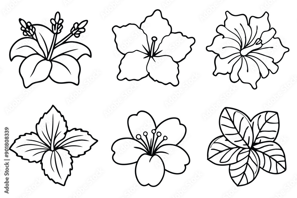 Obraz premium Hibiscus line art illustration Design Concepts