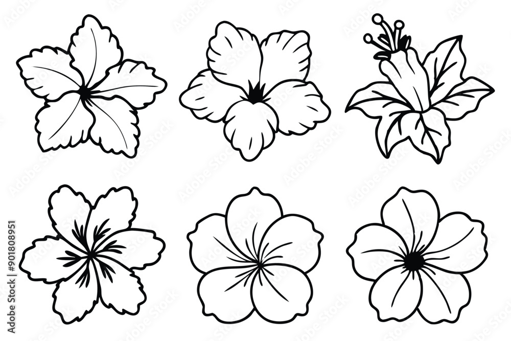 Obraz premium Hibiscus line art illustration Design Concepts