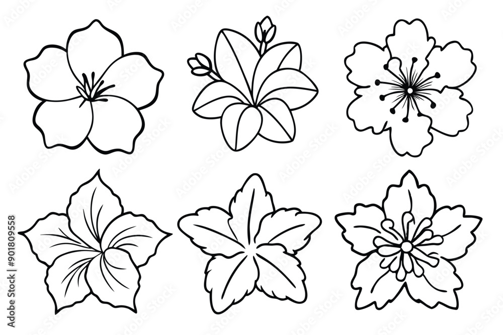 Obraz premium Hibiscus line art illustration Design Concepts