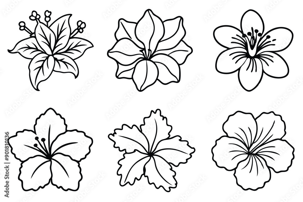 Obraz premium Hibiscus line art illustration Design Concepts