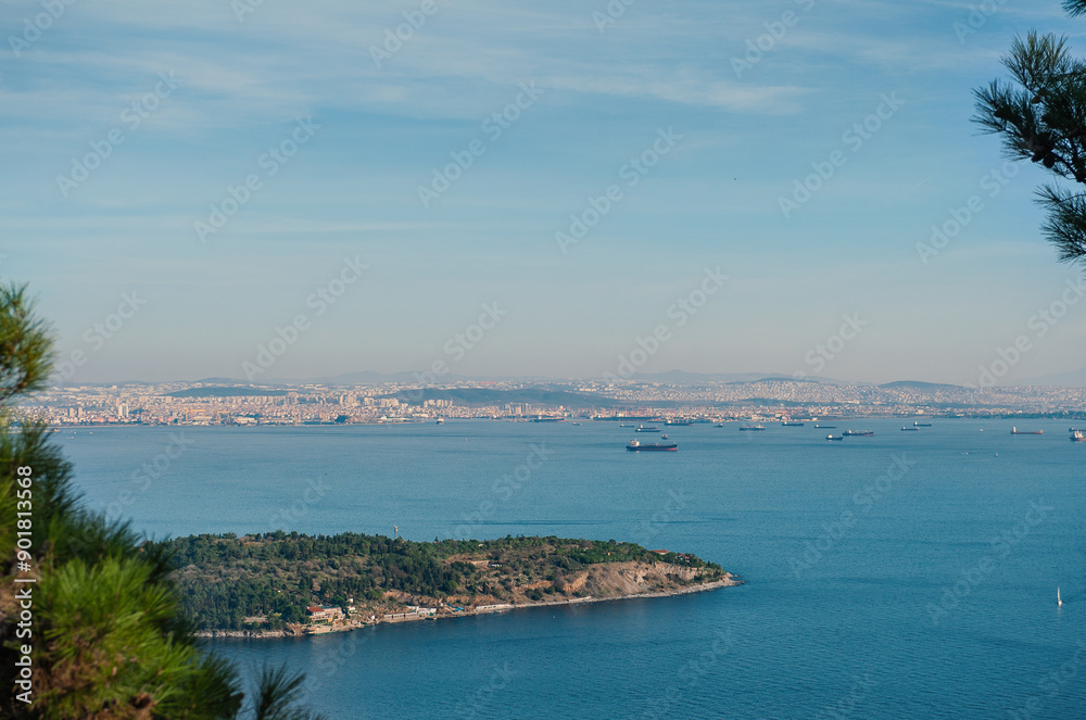 View of Istanbul skyline from Buyukada Island, with the sea and greenery in the foreground, under a blue sky View of Istanbul skyline from Buyukada Island, with the sea and greenery in the foreground, under a blue sky