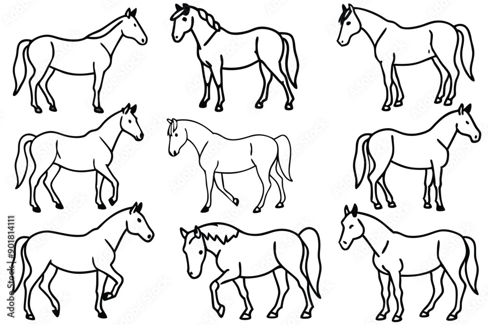 Horse line art illustration Design Concepts
