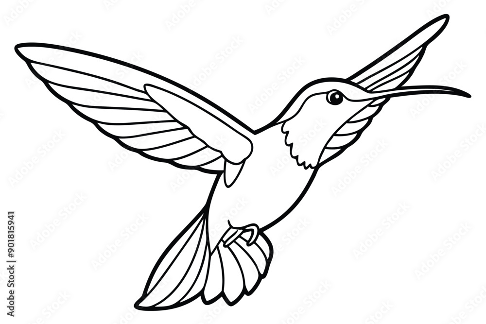 Obraz premium Hummingbird line art illustration Design Concepts