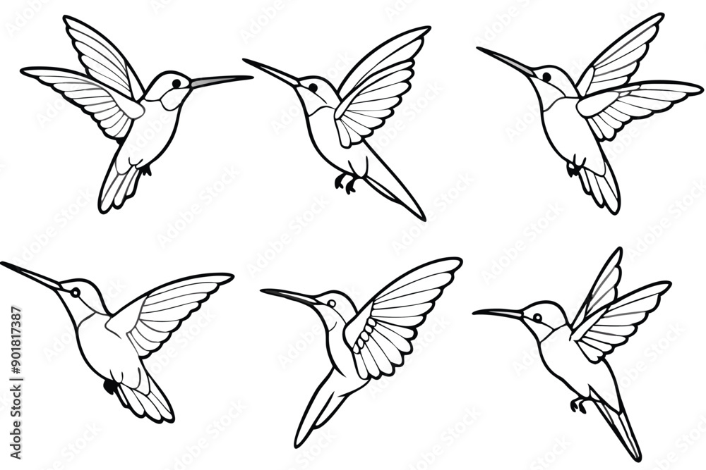 Hummingbird line art illustration Design Concepts Hummingbird line art illustration Design Concepts