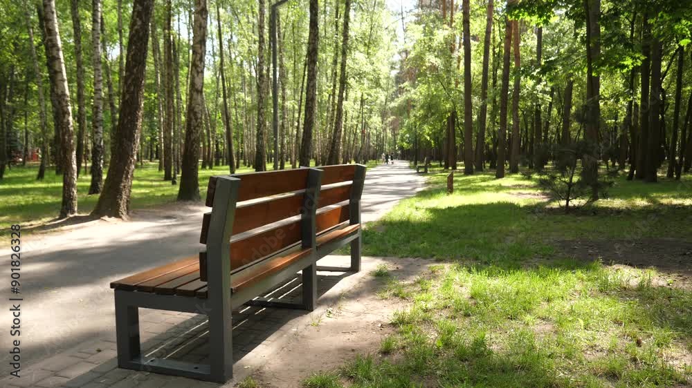Wooden bench for rest on a park path with people walking in the distance on a summer afternoon video in 4K resolution
Wooden bench for rest on a park path with people walking in the distance on a summer afternoon video in 4K resolution