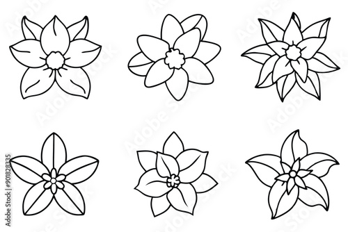 Jasmine line art illustration Design Concepts