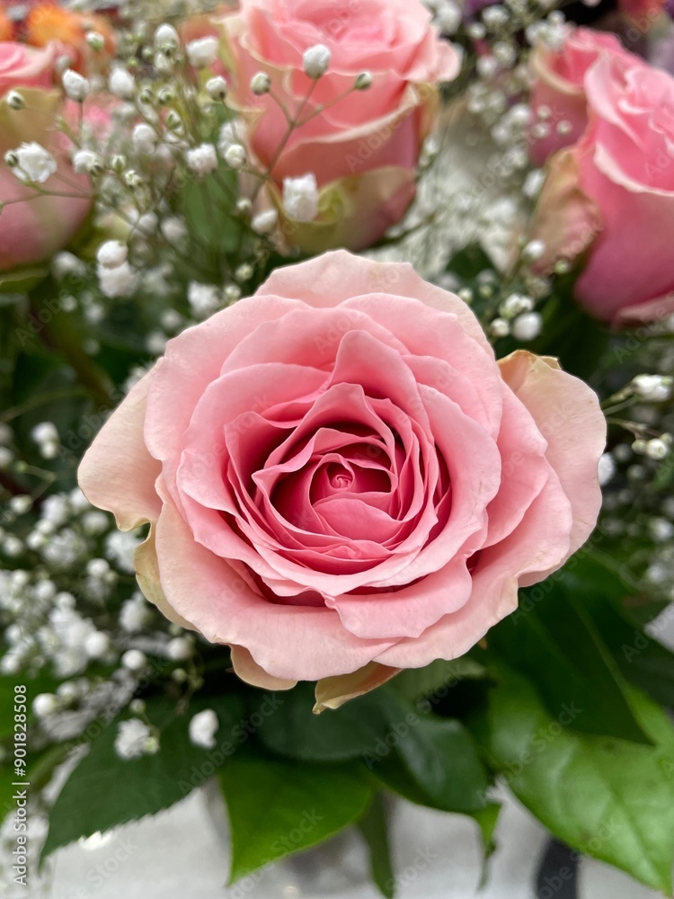 Pink rose in a bouquet with gyp Pink rose in a bouquet with gyp