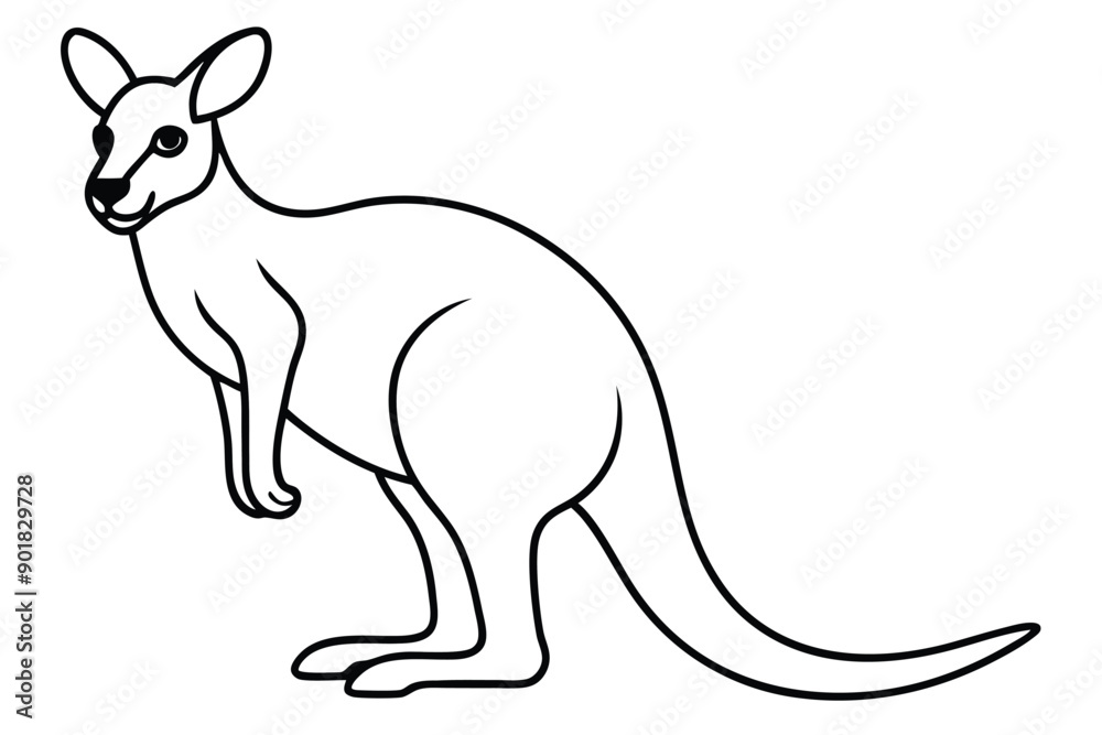 Kangaroo line art illustration Design Concepts Kangaroo line art illustration Design Concepts