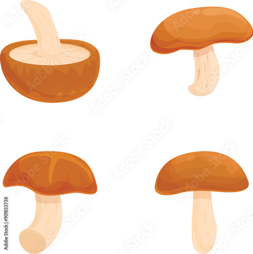 Asian mushroom icons set cartoon vector. Asian shiitake mushroom or fungi. Autumn food