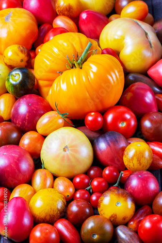 Obraz na płótnie Tomatoes of various varieties and sizes on an iron tray on a wooden table. w salonie
