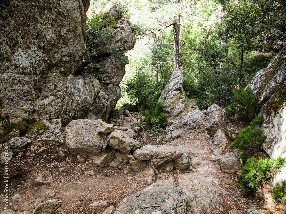 Obraz premium hiking GR20 trail corsica france