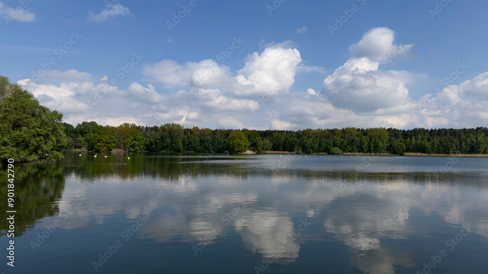 Obraz premium lake in the forest