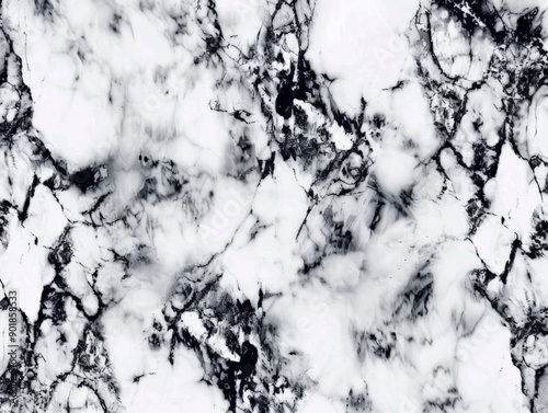 Classic black and white marble texture with intricate veining creating a luxurious feel elegant 