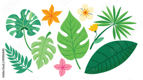 Tropical leaves. Cartoon jungle exotic palm plants and flowers. Banana, philodendron, plumeria, monstera leaf isolated on white background. Floral element vector set 