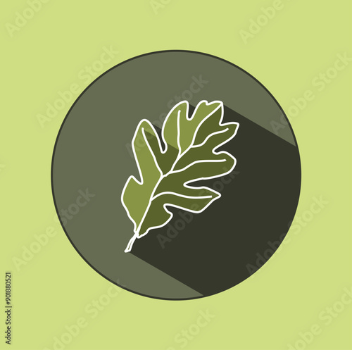 The original logo of a common oak leaf in a circle with shadows. Icon in green shades. Ecological design. Summer mood. photo