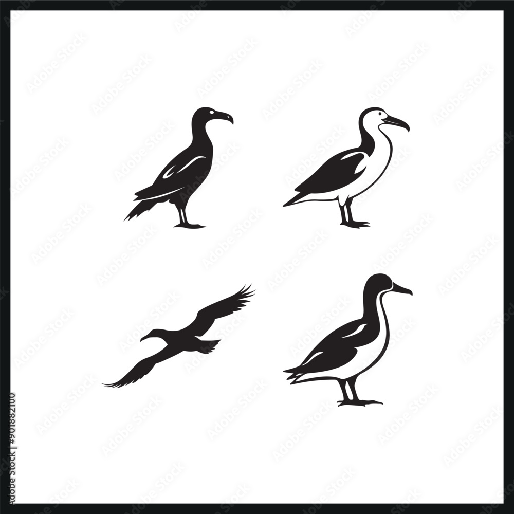 Vector albatross bird silhouette Vector albatross bird silhouette