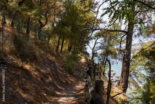 Beautiful seaside landscape in the area of ​​Aliki / Alyki island of Thassos Greece. photo