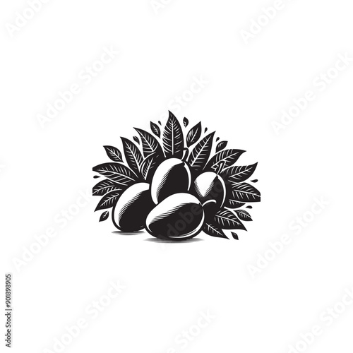 black and white mangoes