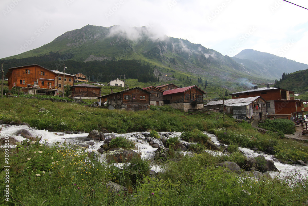 Obraz premium Elevit village, one of the plateau villages in the Kaçkar Mountains in the Black Sea region of Turkey, is fascinating with its magnificent nature and flowing streams.