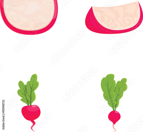 Colorful illustration featuring stylized ham slices and whole radishes with leaves ideal for foodrelated design