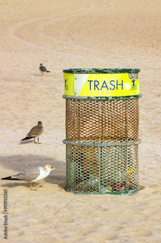 Sea birds scavenging around trash bins for waste food on a sandy beach. No people. photo