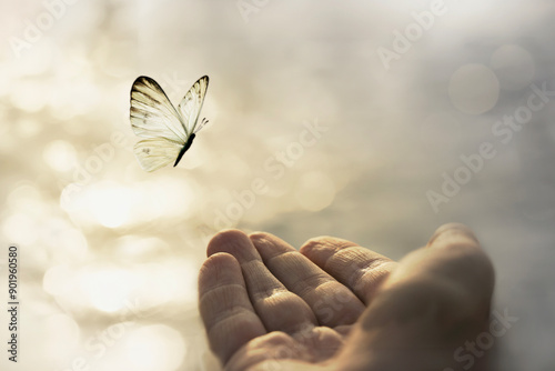 Fotografie hands meeting a butterfly in the sky, concept of freedom