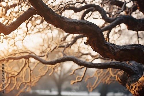 tree in the morning