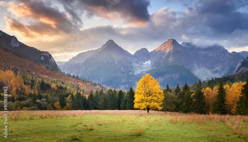 Fototapeta Naklejka Na Ścianę i Meble -  Beautiful autumn evening on a pasture under rocky mountains with a wild forest, a beautiful yellow tree in the middle of a meadow and a colorful dramatic sky. High tatras NP, Poland, Slovakia