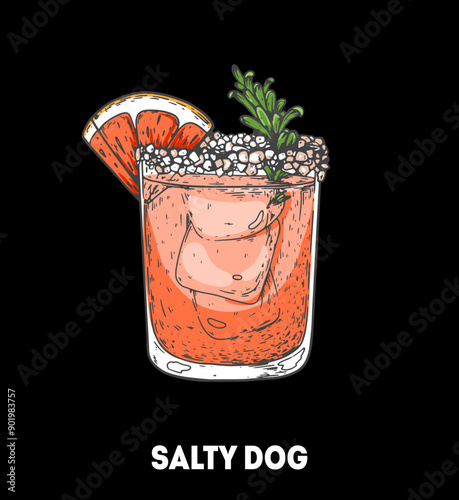 Salty dog cocktail illustration. Hand drawn sketch. Vector illustration. Isolated object.