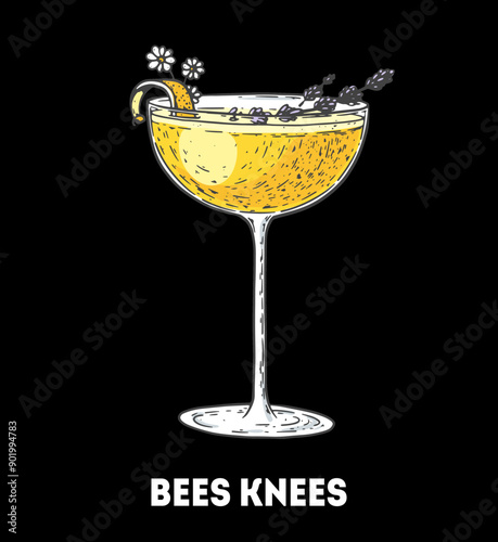 Bees Knees cocktail illustration. Hand drawn sketch. Vector illustration. Isolated object.