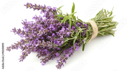 one single lavender flower bouquet bunch on white background