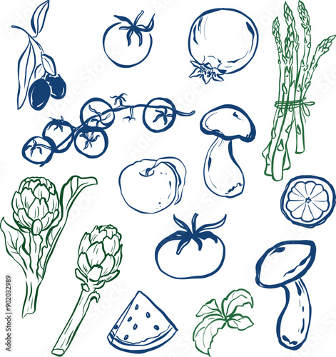 Vector doodle set of vegetable and fruit. Hand-drawn fresh linear mushroom, tomato, artichoke and olive isolated on white background. Tasty food illustration for design, print, fabric or background.