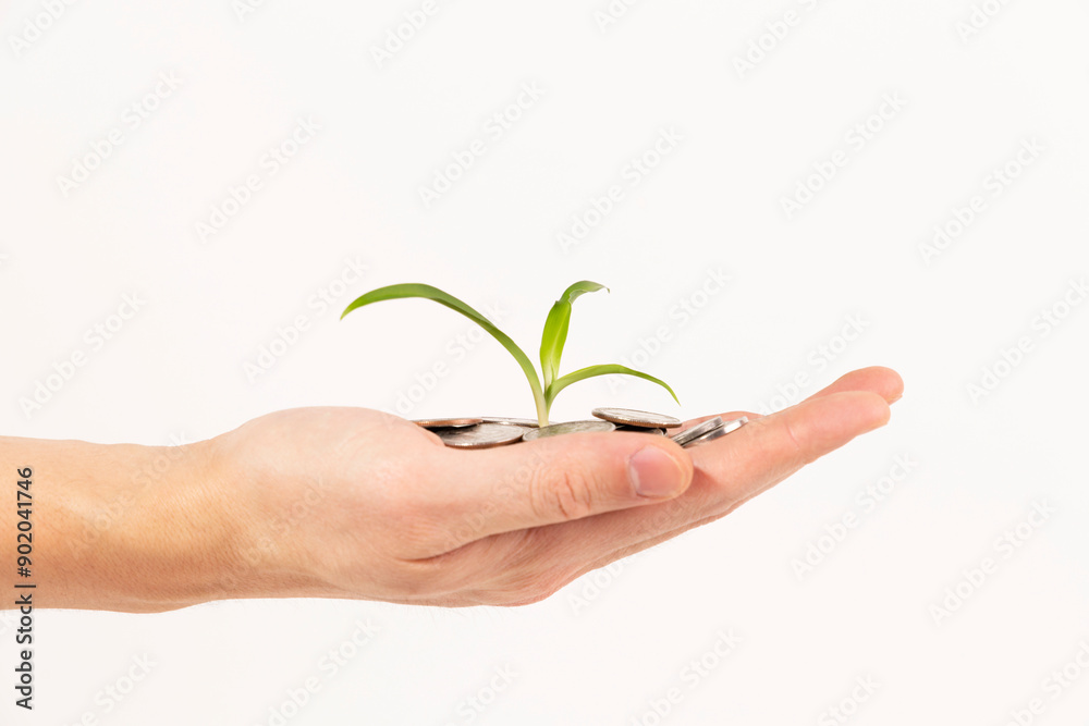 hands holding a plant