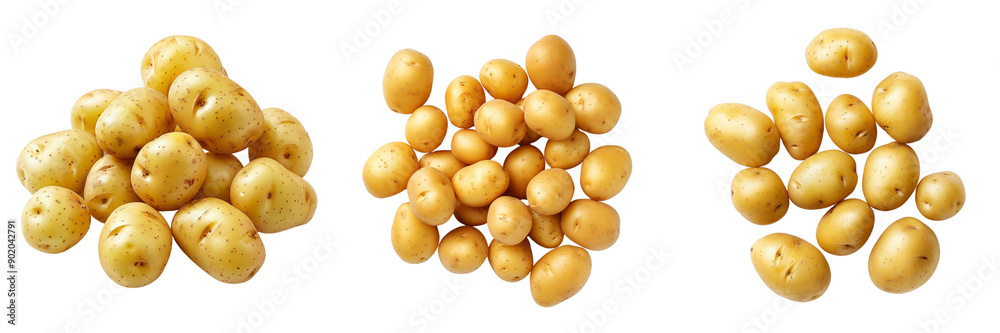 Set of small, baby potatoes with smooth skins isolated on transparent background (2) Set of small, baby potatoes with smooth skins isolated on transparent background (2)