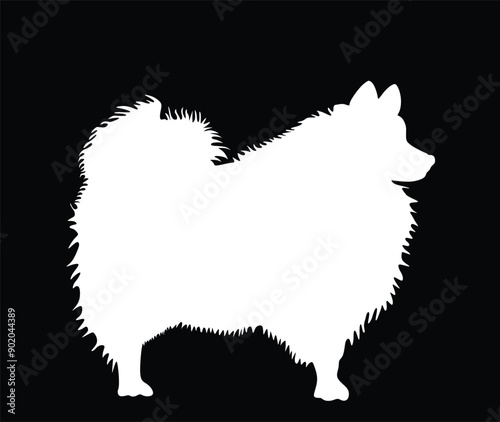 White German Spitz silhouette dog breed vector illustration isolated. Small pet.