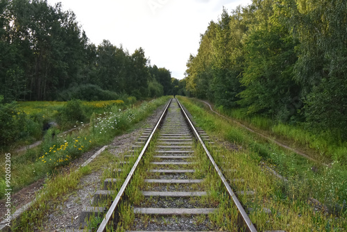 Ancient Railway in the Forest at afternoon