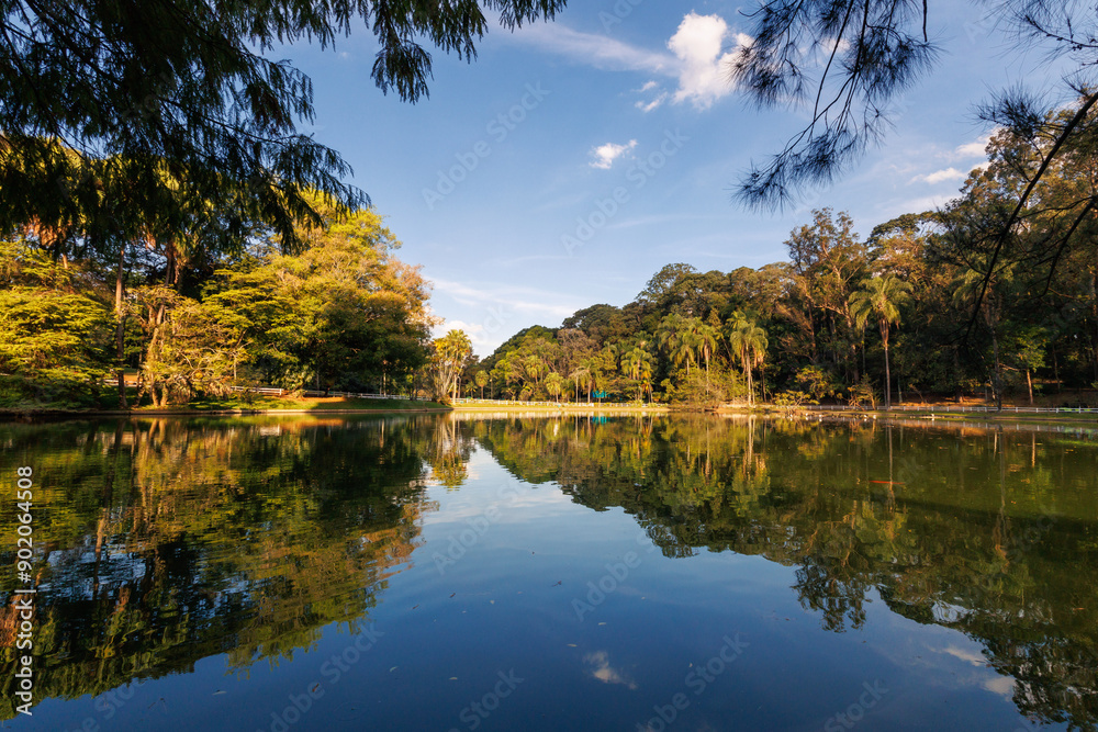 Fotografia do lago principal do Horto Florestal de São Paulo, parque localizado na zona norte da cidade de São Paulo, Brasil Fotografia do lago principal do Horto Florestal de São Paulo, parque localizado na zona norte da cidade de São Paulo, Brasil