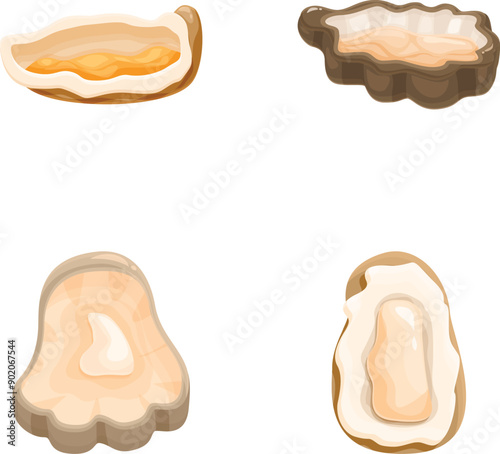 Collection of assorted oyster shell illustrations and vector graphics depicting various marinethemed representations of bivalve mollusk shells. Seashells. And oceanic elements. Perfect for seafood